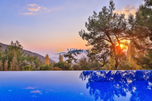 Villa Swiss